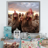 Red Chicken family at sunset - Chicken Wall Art Prints