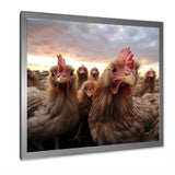 Red Chicken family at sunset - Chicken Wall Art Prints