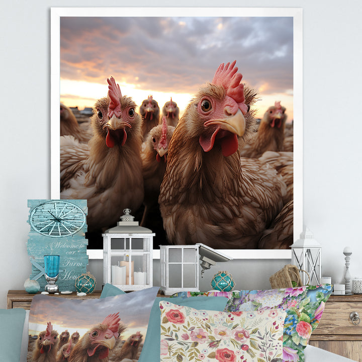 Red Chicken family at sunset - Chicken Wall Art Prints
