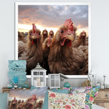 Red Chicken family at sunset - Chicken Wall Art Prints
