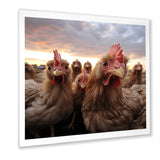 Red Chicken family at sunset - Chicken Wall Art Prints