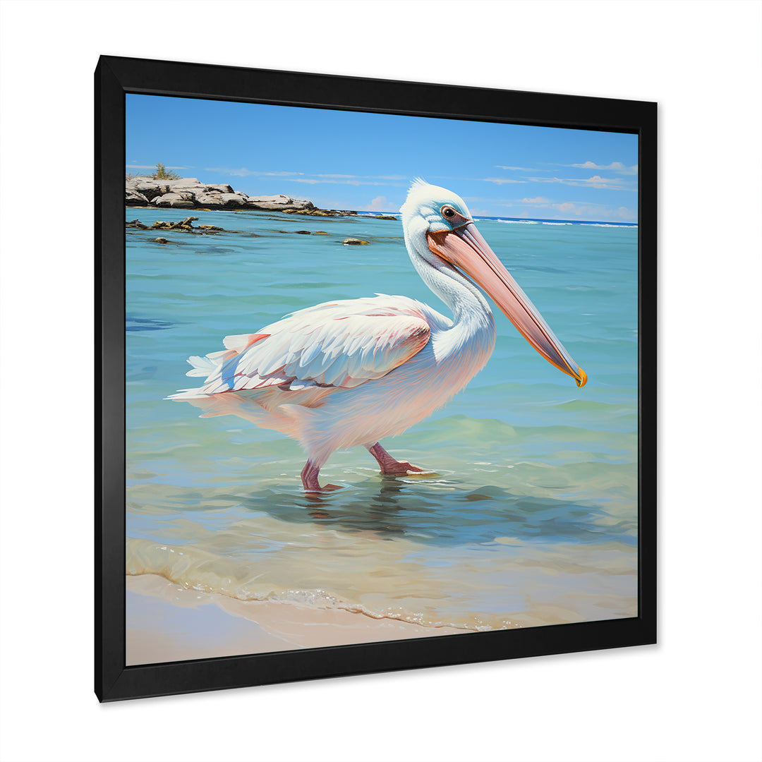 Tropical Pelican Poise - Coastal Animal Wall Art Prints