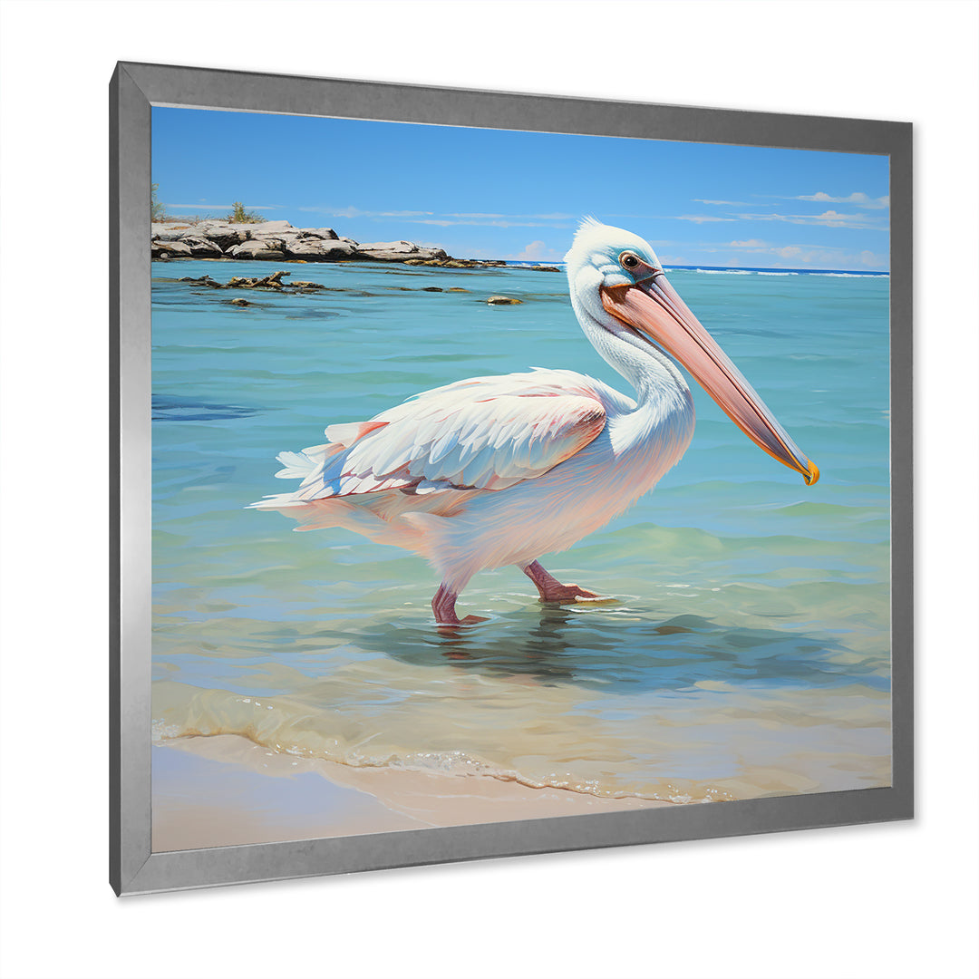 Tropical Pelican Poise - Coastal Animal Wall Art Prints