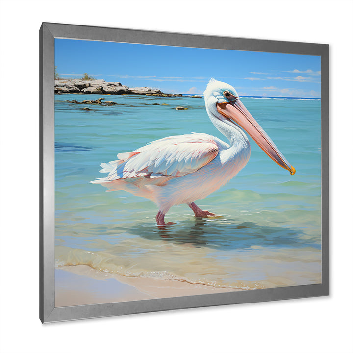 Tropical Pelican Poise - Coastal Animal Wall Art Prints