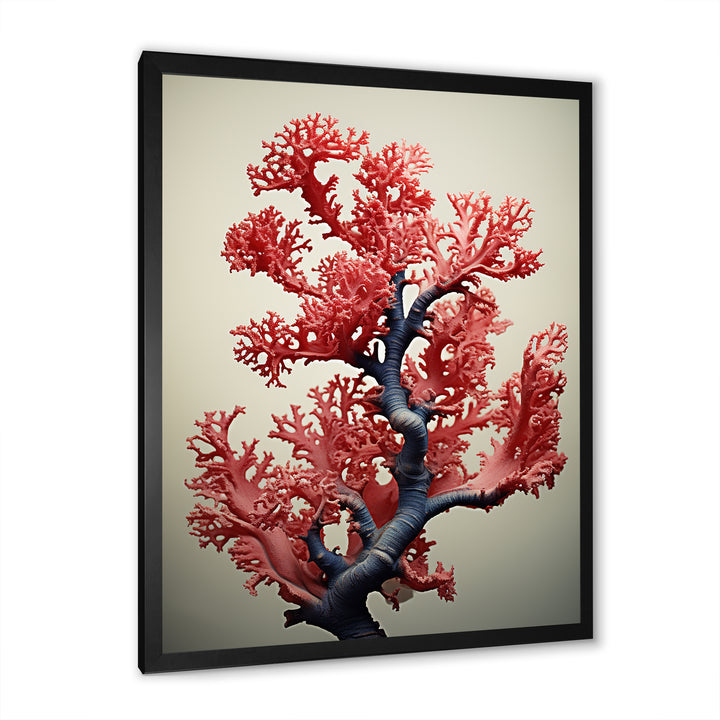 Classical Marine coral Beauty - Coral Wall Art Prints
