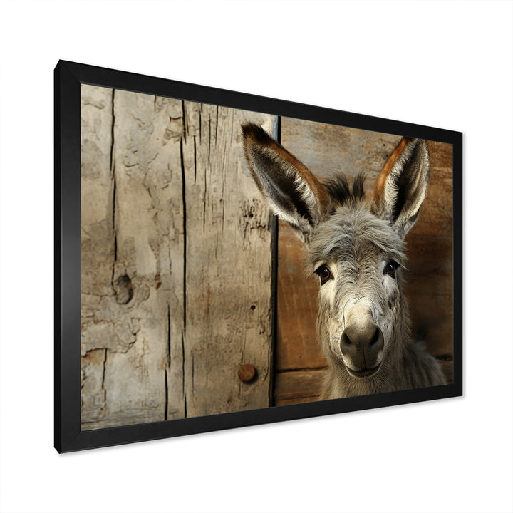 Wood Charming donkey portrait - Donkey Canvas Wall Art
