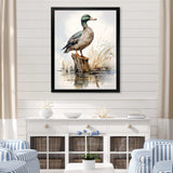 Minimalist Mallard Duck at the pond II - Animals Canvas Wall Art