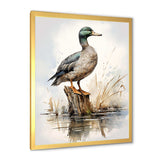 Minimalist Mallard Duck at the pond II - Animals Canvas Wall Art