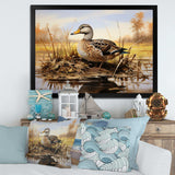 Waddling duck in the countryside I - Animals Canvas Wall Art