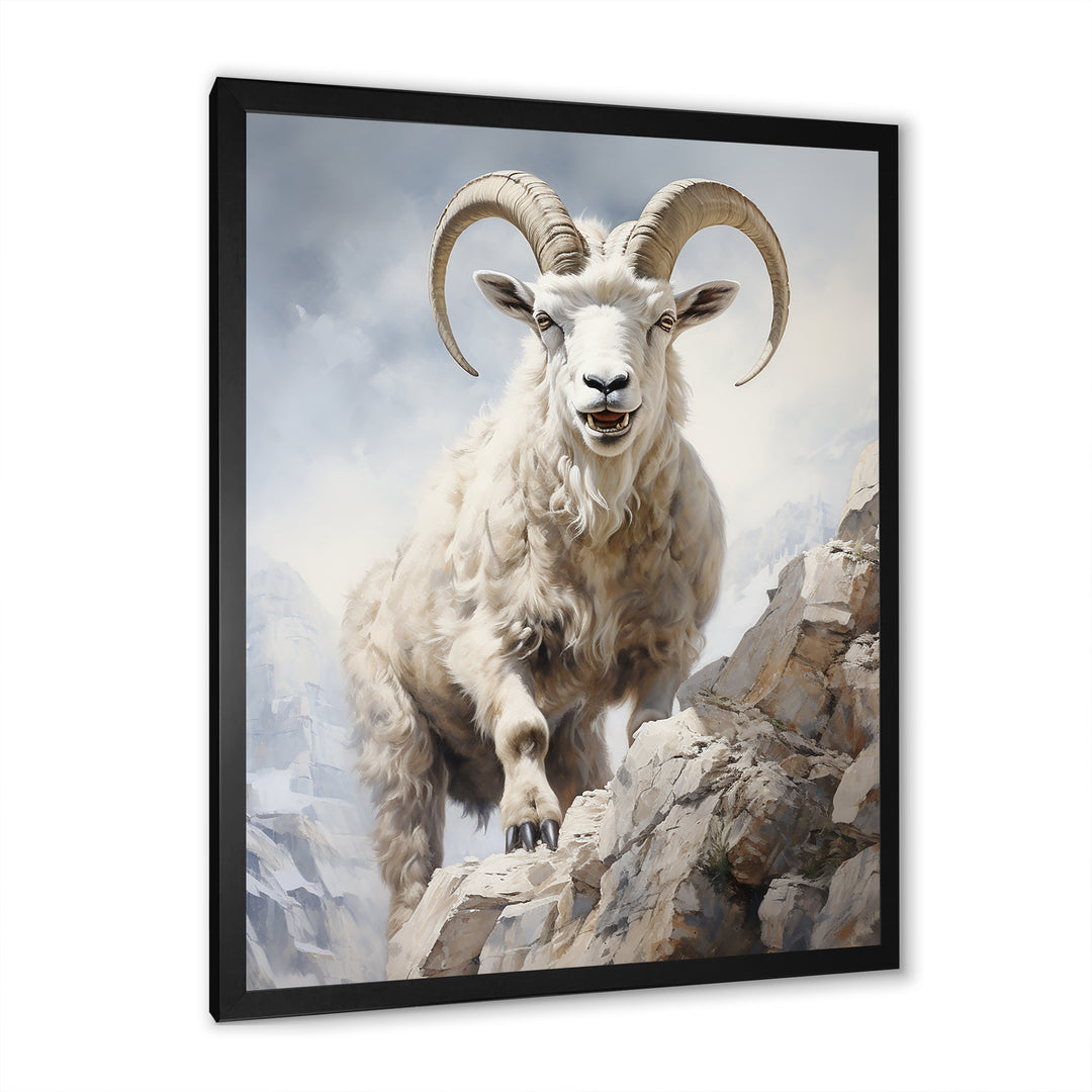 Cliff Climber Chamois goat - Goat Framed Canvas Art