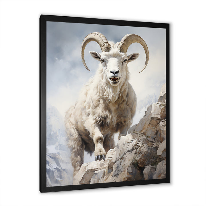 Cliff Climber Chamois goat - Goat Framed Canvas Art