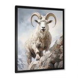 Cliff Climber Chamois goat - Goat Framed Canvas Art