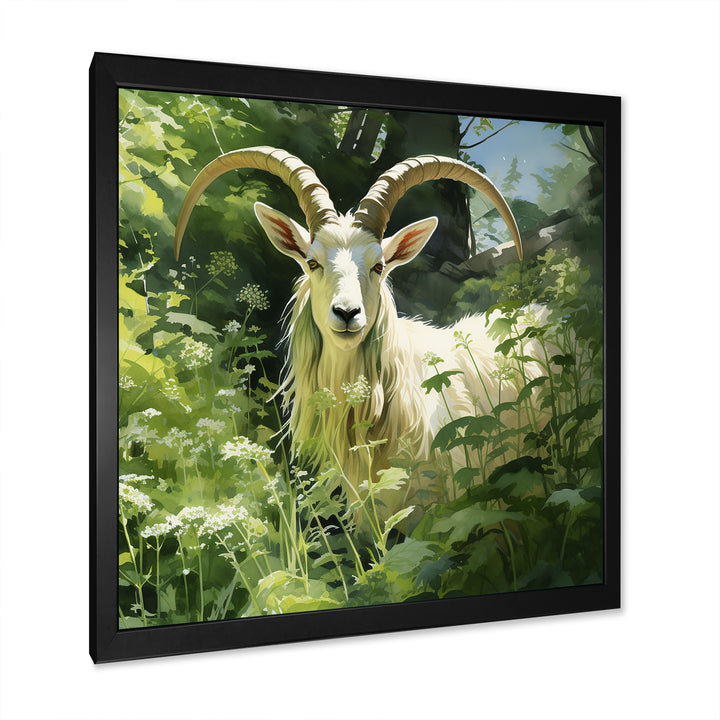 Pastoral goat Portrait - Goat Framed Canvas Art