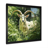 Pastoral goat Portrait - Goat Framed Canvas Art