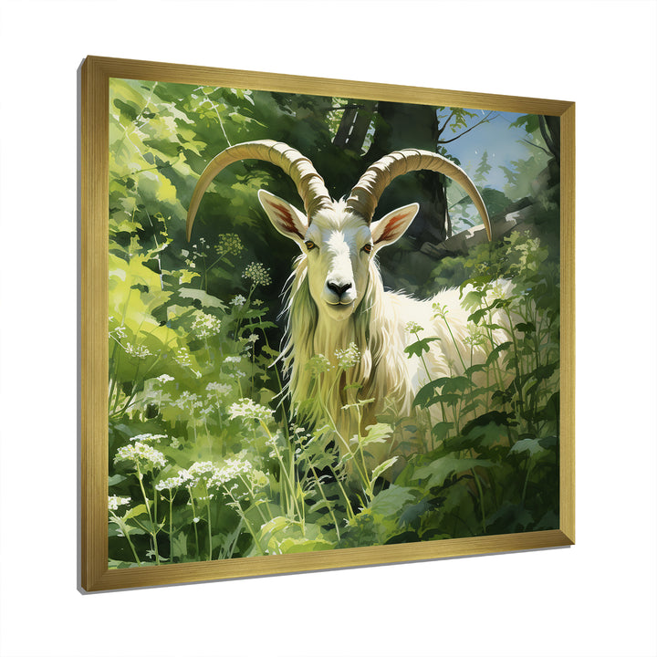 Pastoral goat Portrait - Goat Framed Canvas Art