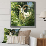 Pastoral goat Portrait - Goat Framed Canvas Art
