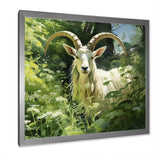 Pastoral goat Portrait - Goat Framed Canvas Art