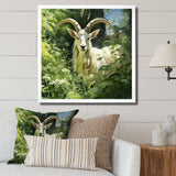 Pastoral goat Portrait - Goat Framed Canvas Art