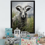 Grey meadow buck Goat Peaks - Goat Home Decor Art