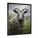 Grey meadow buck Goat Peaks - Goat Home Decor Art