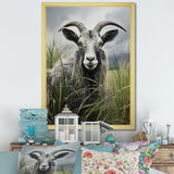 Grey meadow buck Goat Peaks - Goat Home Decor Art