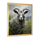Grey meadow buck Goat Peaks - Goat Home Decor Art