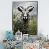 Grey meadow buck Goat Peaks - Goat Home Decor Art