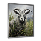 Grey meadow buck Goat Peaks - Goat Home Decor Art
