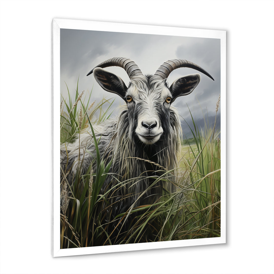 Grey meadow buck Goat Peaks - Goat Home Decor Art