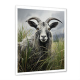 Grey meadow buck Goat Peaks - Goat Home Decor Art
