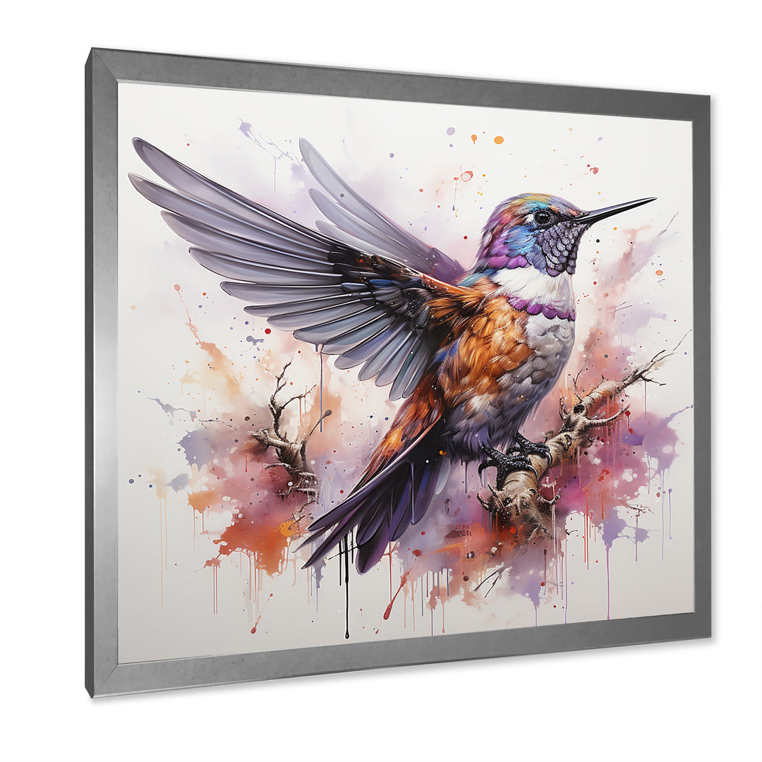 Purple Hummingbird Beauty - Hummingbird Framed Canvas Art