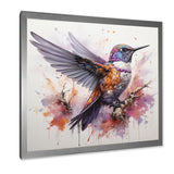 Purple Hummingbird Beauty - Hummingbird Framed Canvas Art