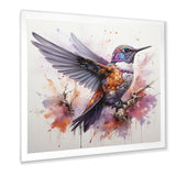 Purple Hummingbird Beauty - Hummingbird Framed Canvas Art