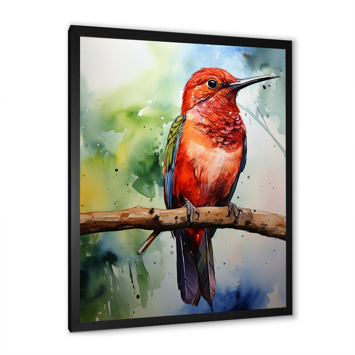 Red and green Radiant hummingbird Beauty - Hummingbird Large Canvas Wall Art
