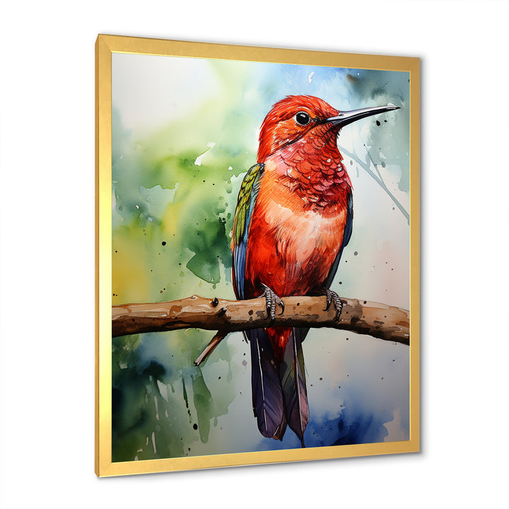 Red and green Radiant hummingbird Beauty - Hummingbird Large Canvas Wall Art