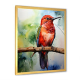 Red and green Radiant hummingbird Beauty - Hummingbird Large Canvas Wall Art