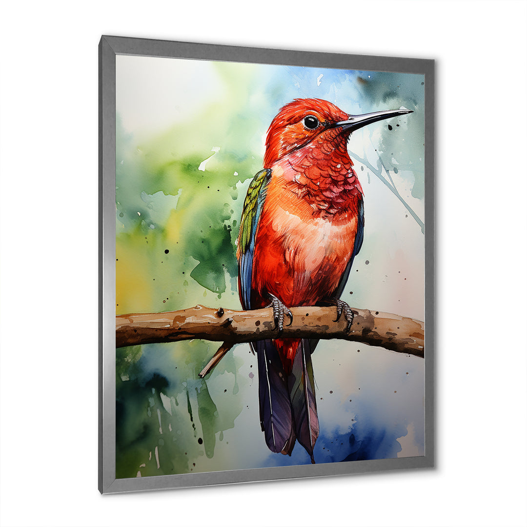 Red and green Radiant hummingbird Beauty - Hummingbird Large Canvas Wall Art