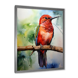 Red and green Radiant hummingbird Beauty - Hummingbird Large Canvas Wall Art