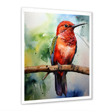 Red and green Radiant hummingbird Beauty - Hummingbird Large Canvas Wall Art