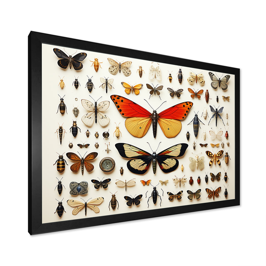 Orange Insects and Bugs - Yellow Insects &amp; Bugs Wall Art
