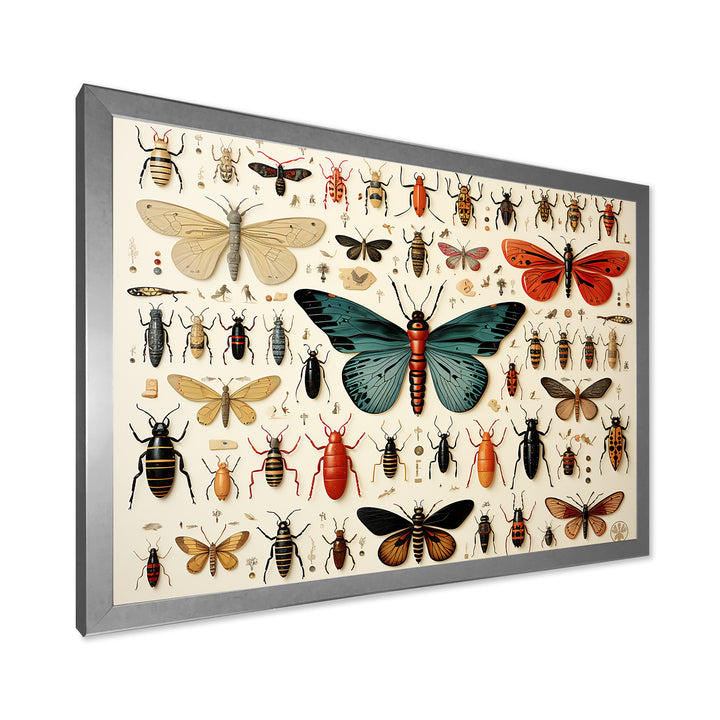 Orange and blue Insects and Bugs - Blue Insects &amp; Bugs Wall Art