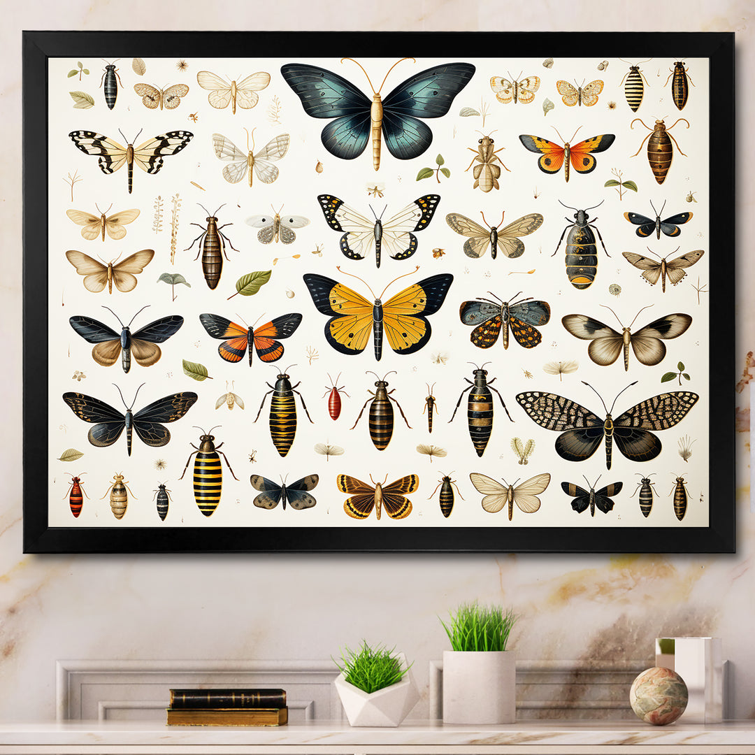 Yellow and blue Insects and Bugs - Insects &amp; Bugs Framed Canvas Art