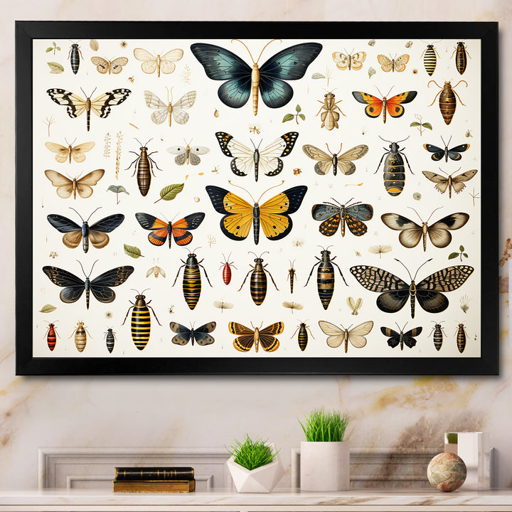 Yellow and blue Insects and Bugs - Insects &amp; Bugs Framed Canvas Art