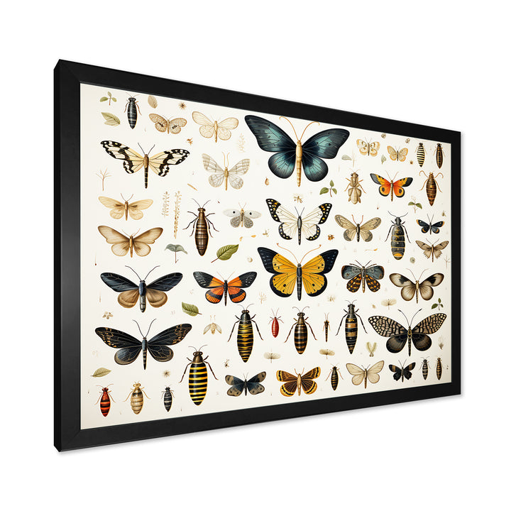 Yellow and blue Insects and Bugs - Insects &amp; Bugs Framed Canvas Art