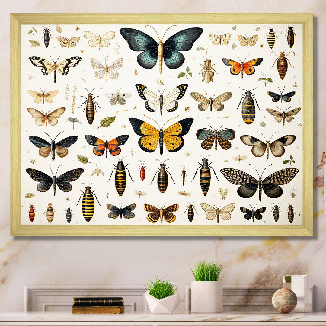 Yellow and blue Insects and Bugs - Insects &amp; Bugs Framed Canvas Art