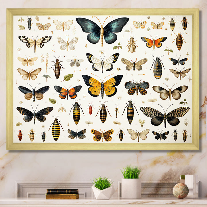 Yellow and blue Insects and Bugs - Insects &amp; Bugs Framed Canvas Art