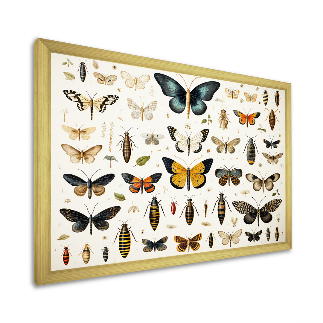 Yellow and blue Insects and Bugs - Insects &amp; Bugs Framed Canvas Art