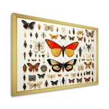 Yellow and orange Insects and Bugs - Insects & Bugs Large Canvas Wall Art