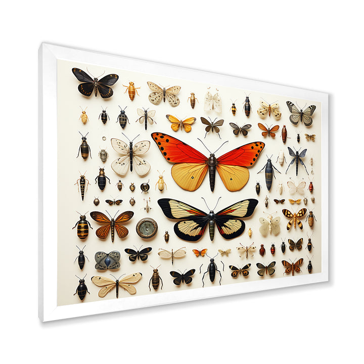 Yellow and orange Insects and Bugs - Insects &amp; Bugs Large Canvas Wall Art