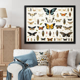 Blue and yellow Insects and Bugs - Insects & Bugs Home Decor Art